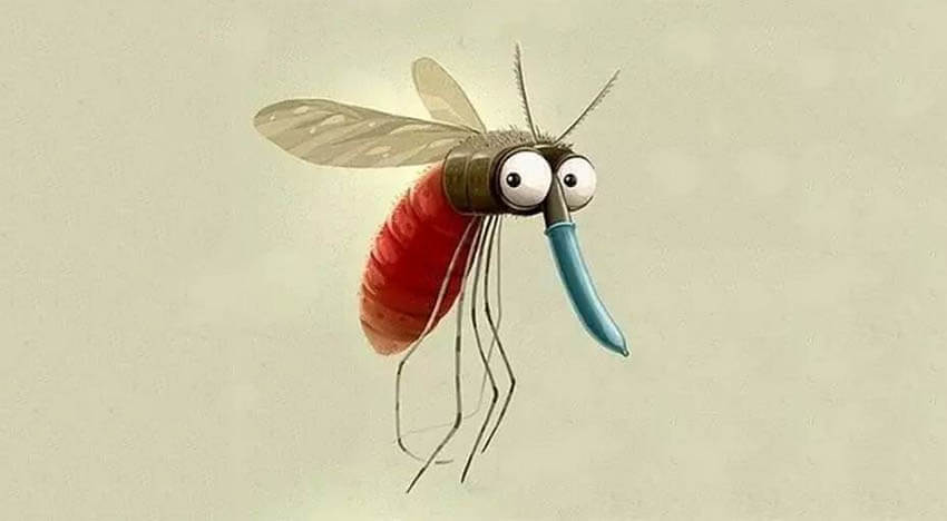 DIY Mosquito Killer