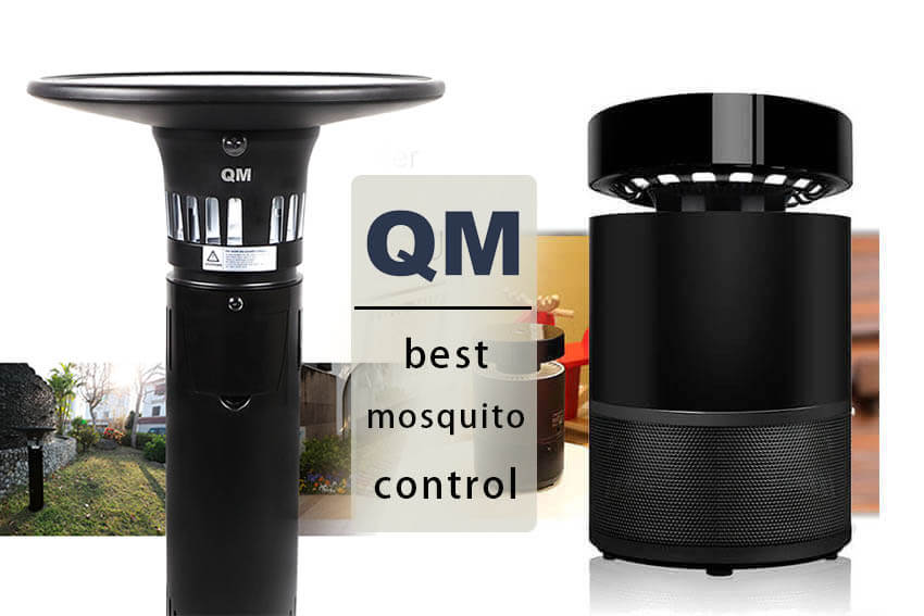 best mosquito control