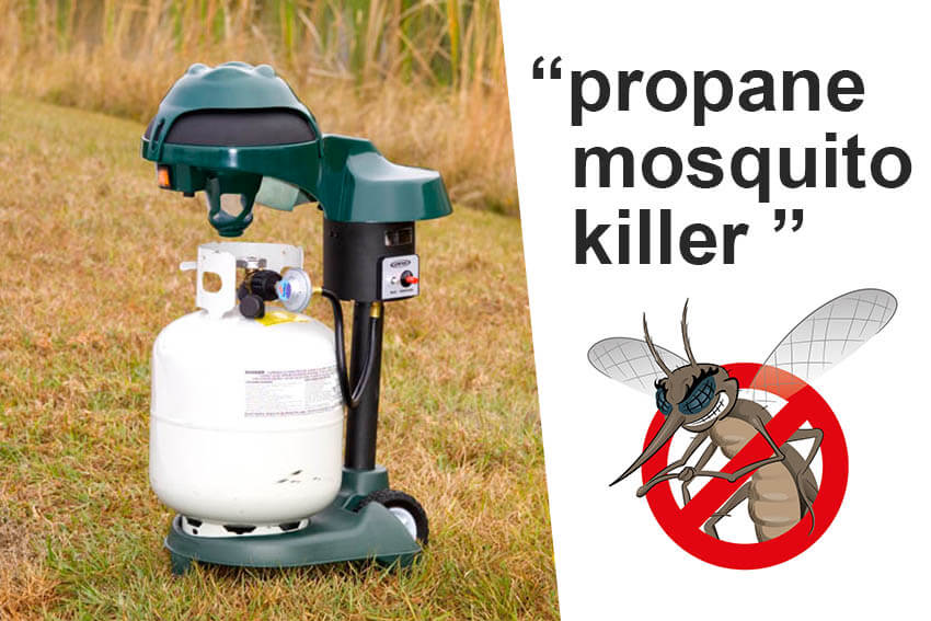 Propane mosquito clearance control